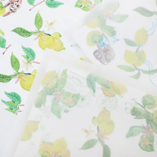 Lemon and Sloth Letter Set · Paper Message