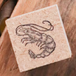 Marine Life Wooden Stamps・Keibunsha & meriBUN