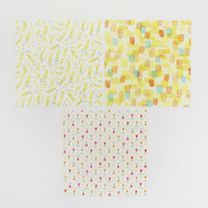 Kiiro Boxed Mino Washi Origami · Furukawashiko
