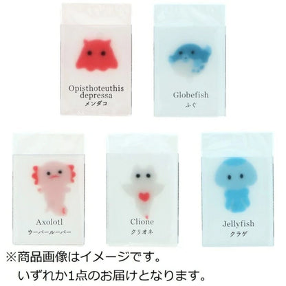 Sun-star Sea Creatures in Ice Eraser