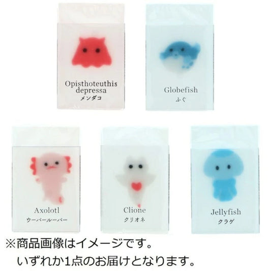 Sun-star Sea Creatures in Ice Eraser