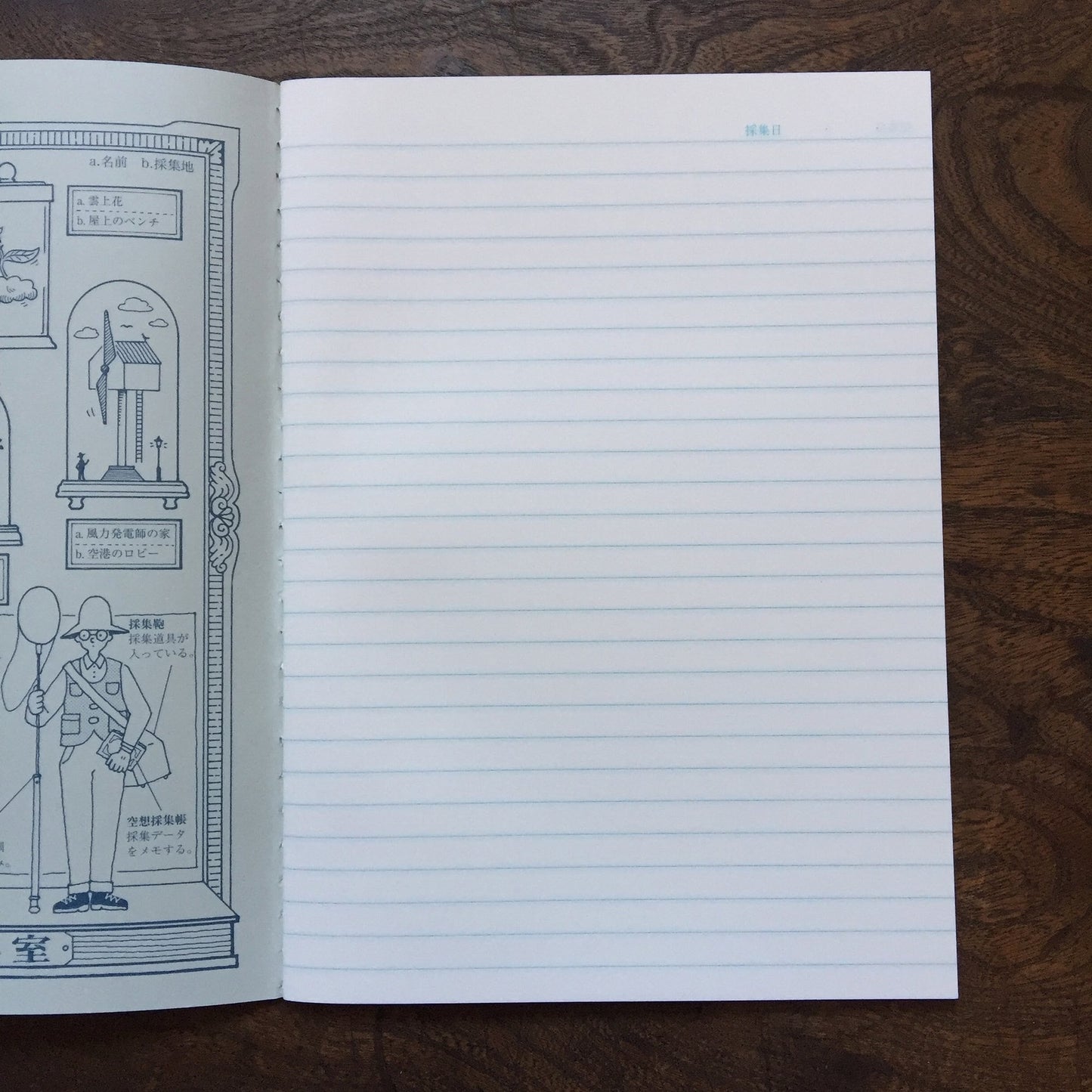 Blue Fantasy Collection Notebook · Kyupodo