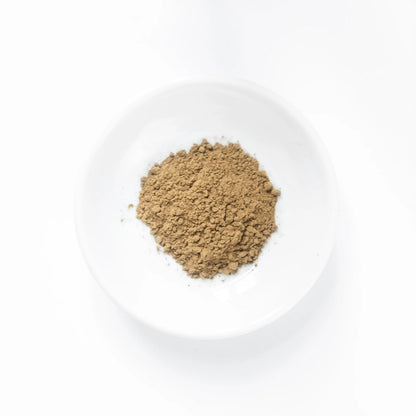 Hojicha Powder 30g · The NODOKA