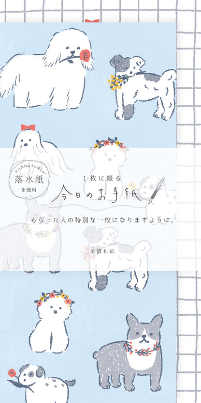 White Dog Today's Letters · Furukawashiko