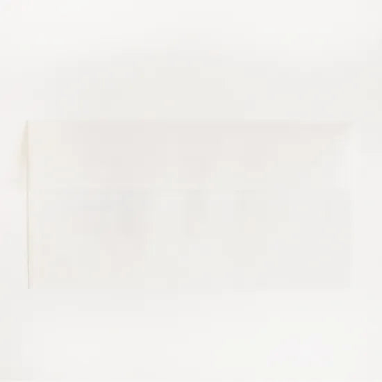 Long No.3 Vellum Envelope · Paper Message