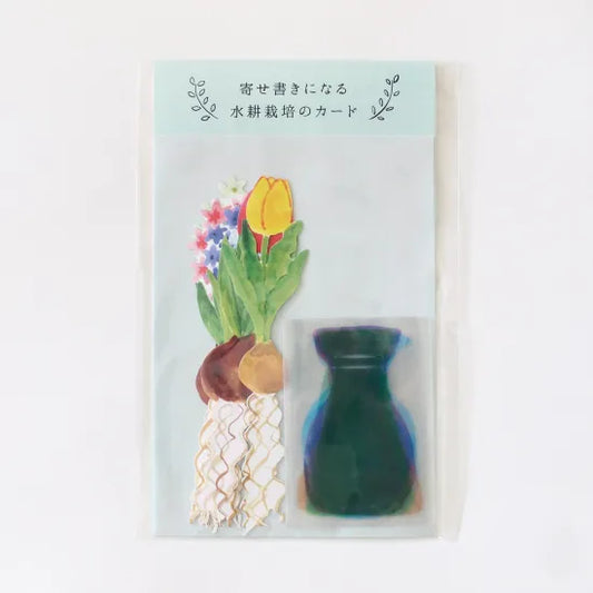 Hydroponic Vases Card Set · Paper Message