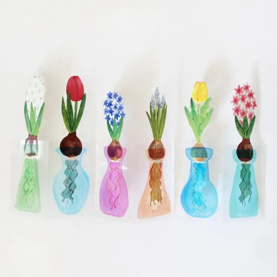 Hydroponic Vases Card Set · Paper Message