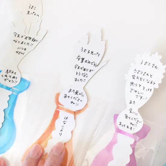 Hydroponic Vases Card Set · Paper Message