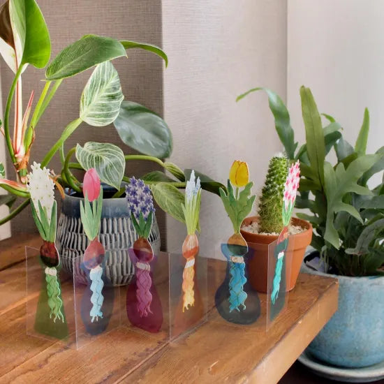 Hydroponic Vases Card Set · Paper Message