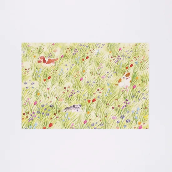 Dog in Field Postcard · Paper Message