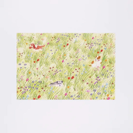 Dog in Field Postcard · Paper Message