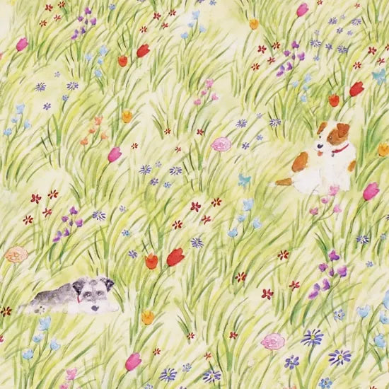 Dog in Field Postcard · Paper Message