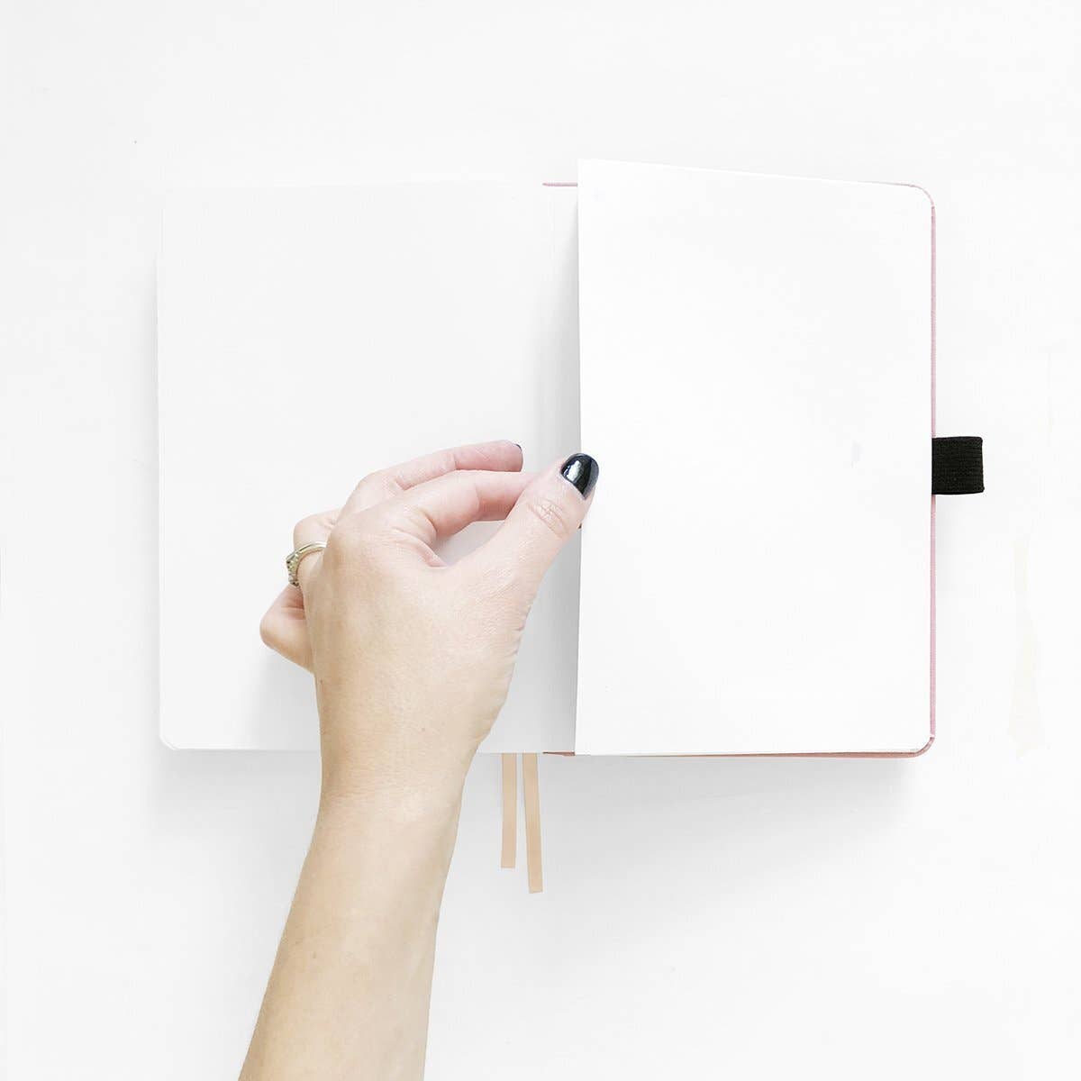 Limited Edition Eucalyptus Notebook · Archer & Olive