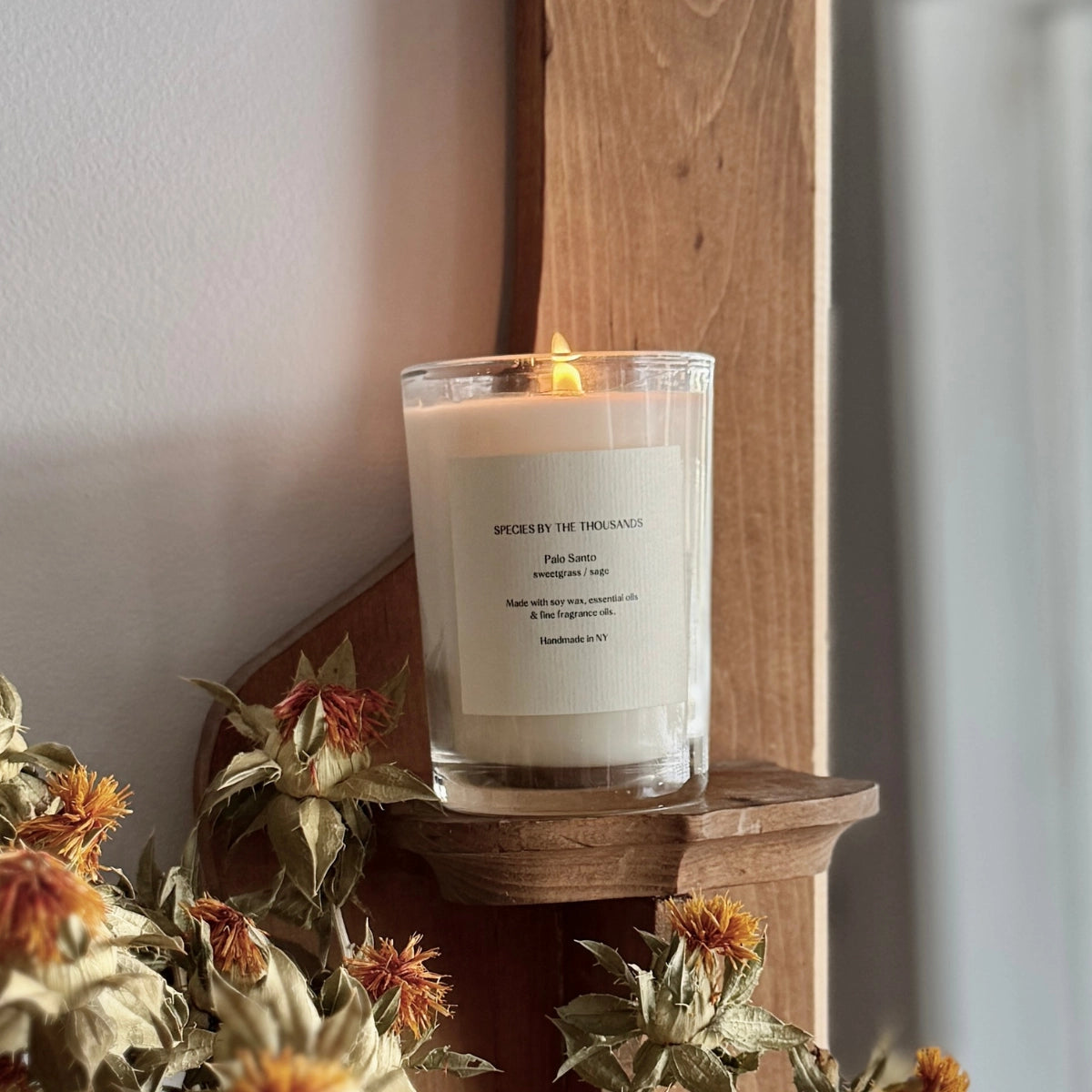 Palo Santo, Sweetgrass + Sage Handcrafted Scented Soy Candle · Species by the Thousands