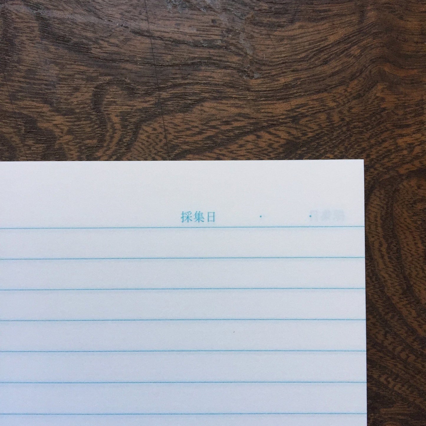 Blue Fantasy Collection Notebook · Kyupodo