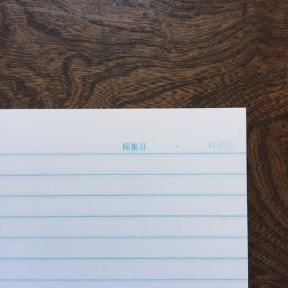 Blue Fantasy Collection Notebook · Kyupodo