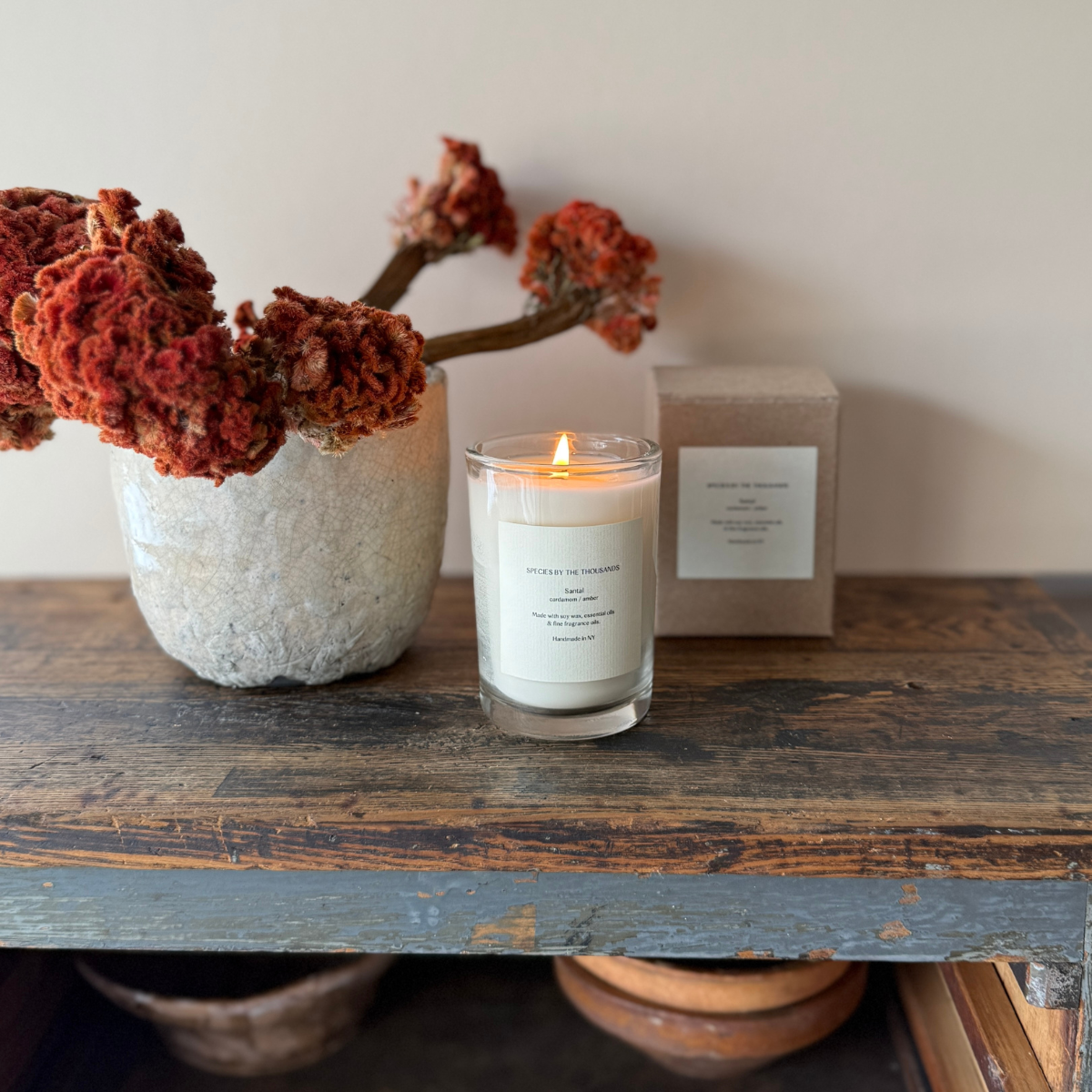 Santal, Cardamom + Amber Handcrafted Scented Soy Candle · Species by the Thousands