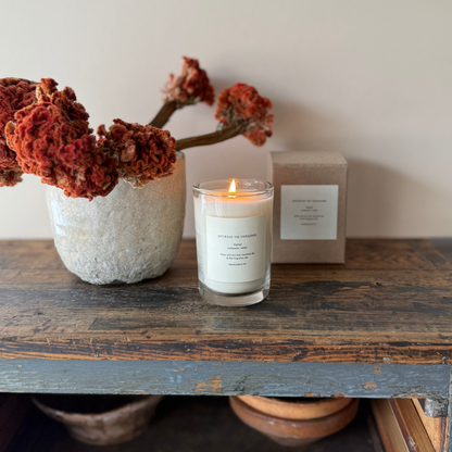 Santal, Cardamom + Amber Handcrafted Scented Soy Candle · Species by the Thousands