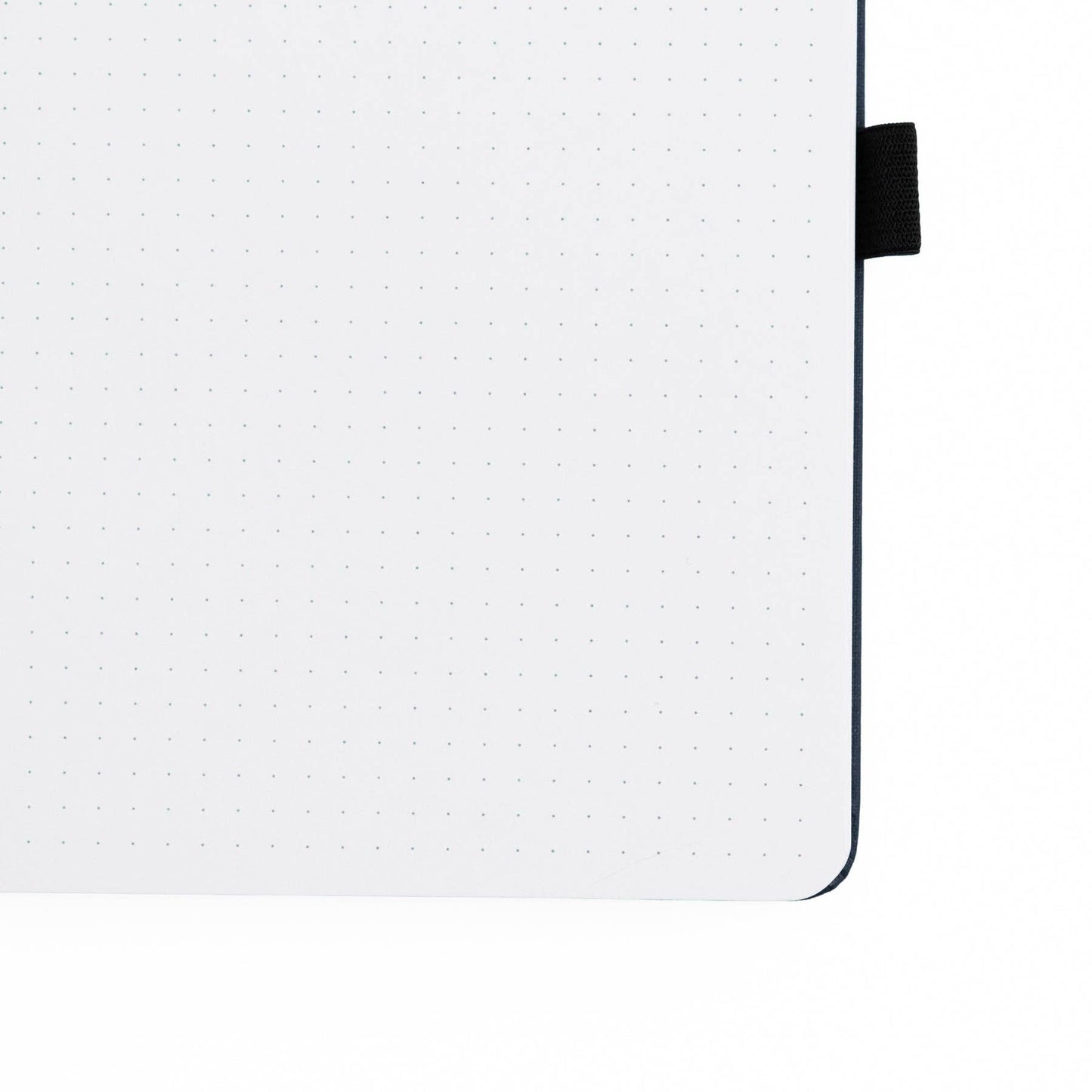 Ginkgo Leaf A5 Slim Dot Grid Notebook · Archer & Olive