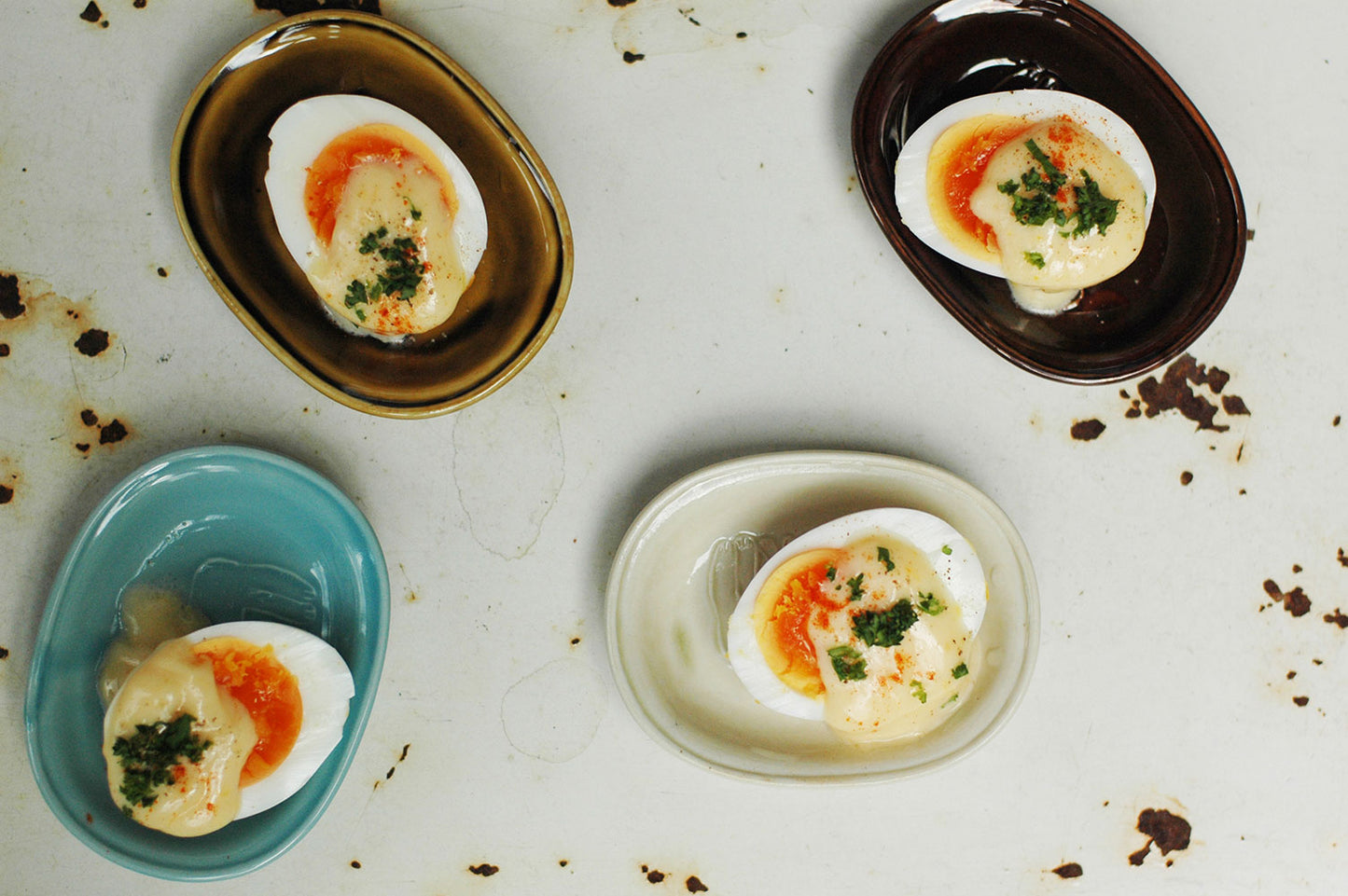 Dog Toranekobonbon Oval Small Dish · Classiky