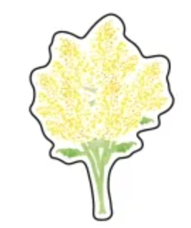 Mini Bouquet Card · Paper Message