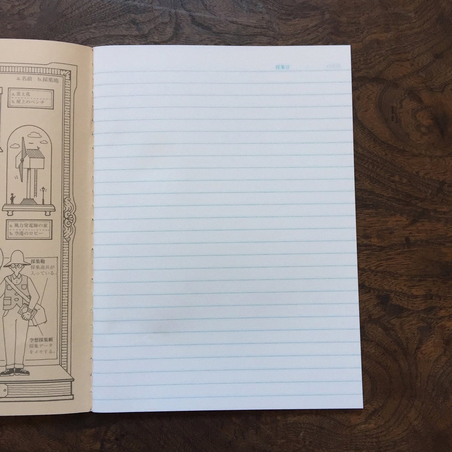 Brown Fantasy Collection Notebook · Kyupodo
