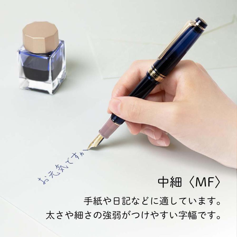 Sailor Pro Gear Slim Shikiori Sansui Yuu-Tsubame《Medium Fine》