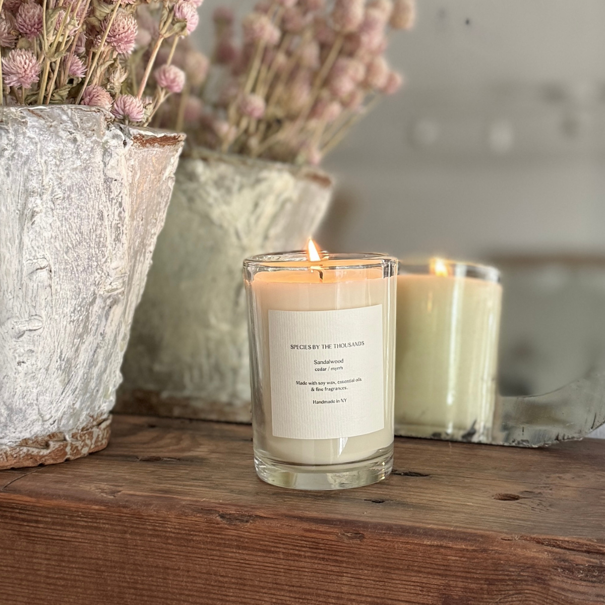 Sandalwood, Cedar+ Myrrh Handcrafted Soy Candle · Species by the Thousands
