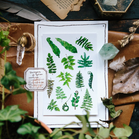 Ferns Transfer Sticker Sheet · OURS Studio