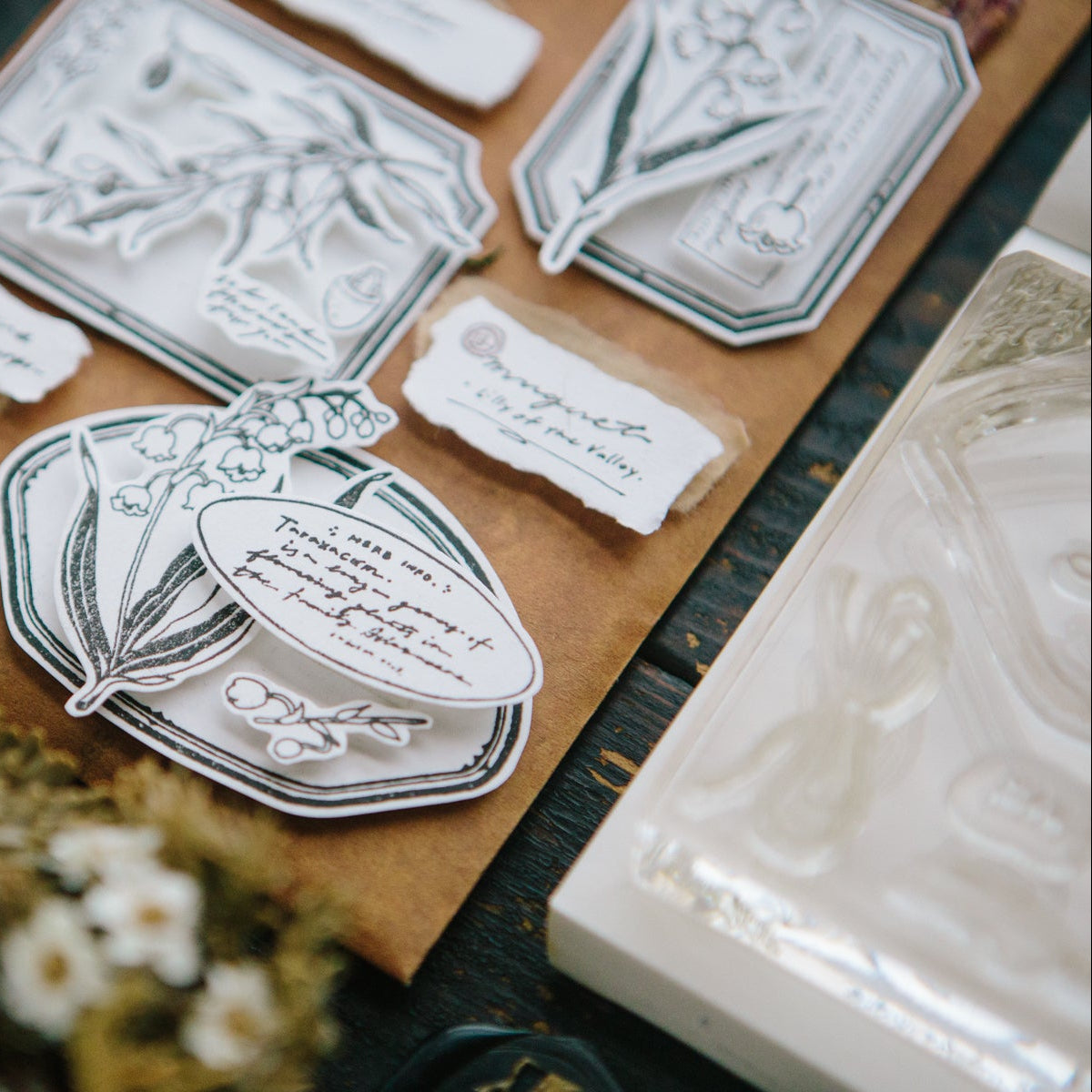 de Cadre Clear Stamp Sheet· OURS Studio