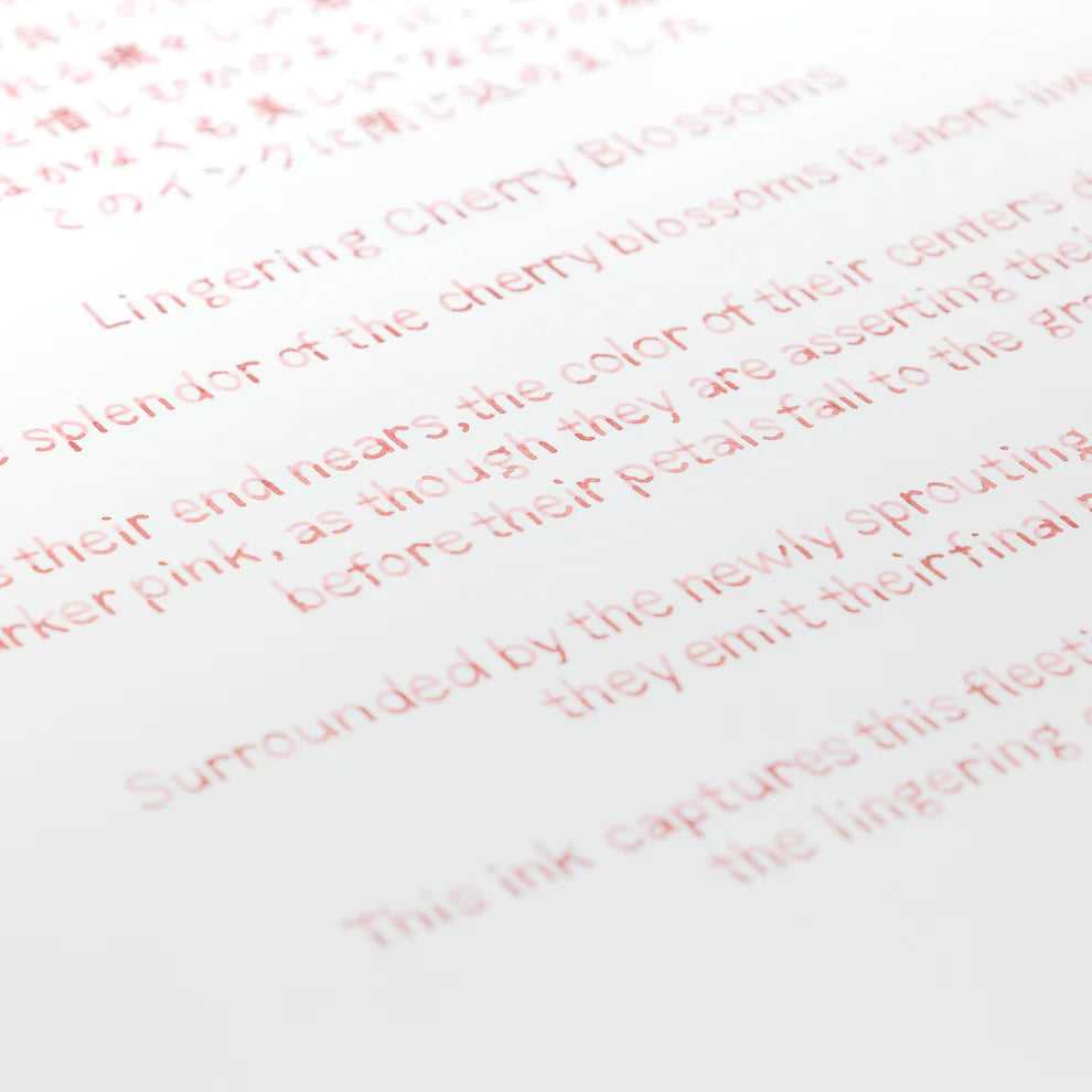 Lingering Cherry Blossoms Ink・BUNGUBOX