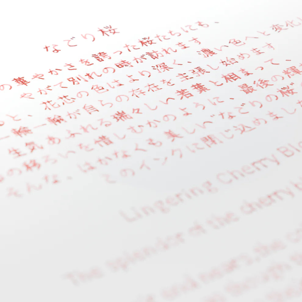 Lingering Cherry Blossoms Ink・BUNGUBOX