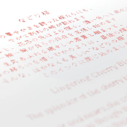 Lingering Cherry Blossoms Ink・BUNGUBOX