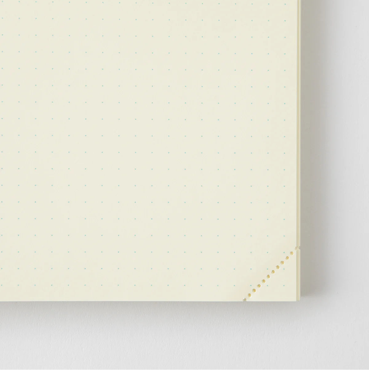 MD Notebook 1 Day 1 Page《A5》