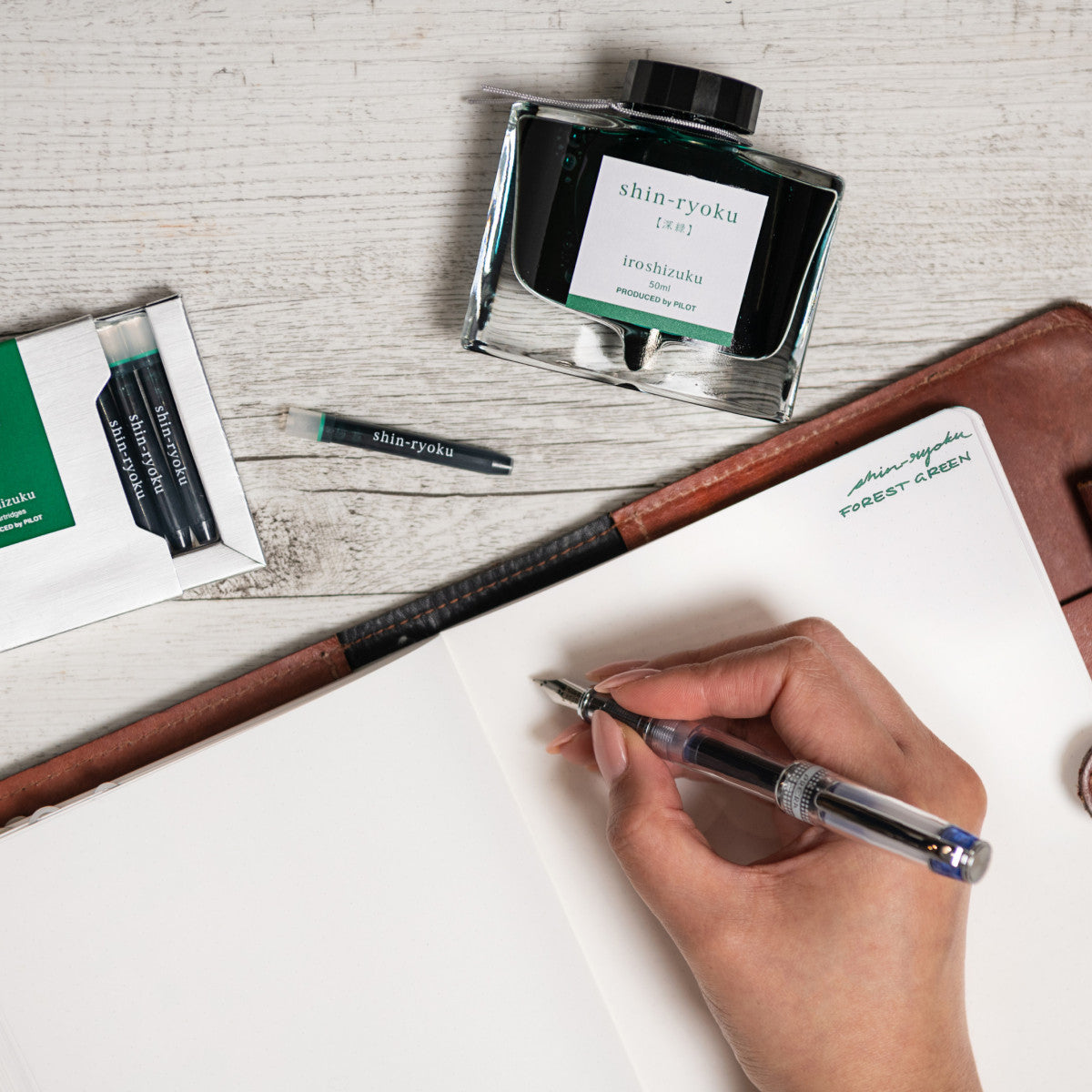 Pilot Iroshizuku Fountain Pen Ink Cartridges