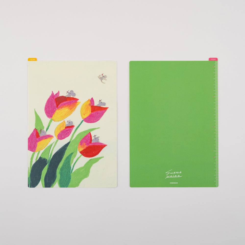 Keiko Shibata · Hobonichi Pencil Boards