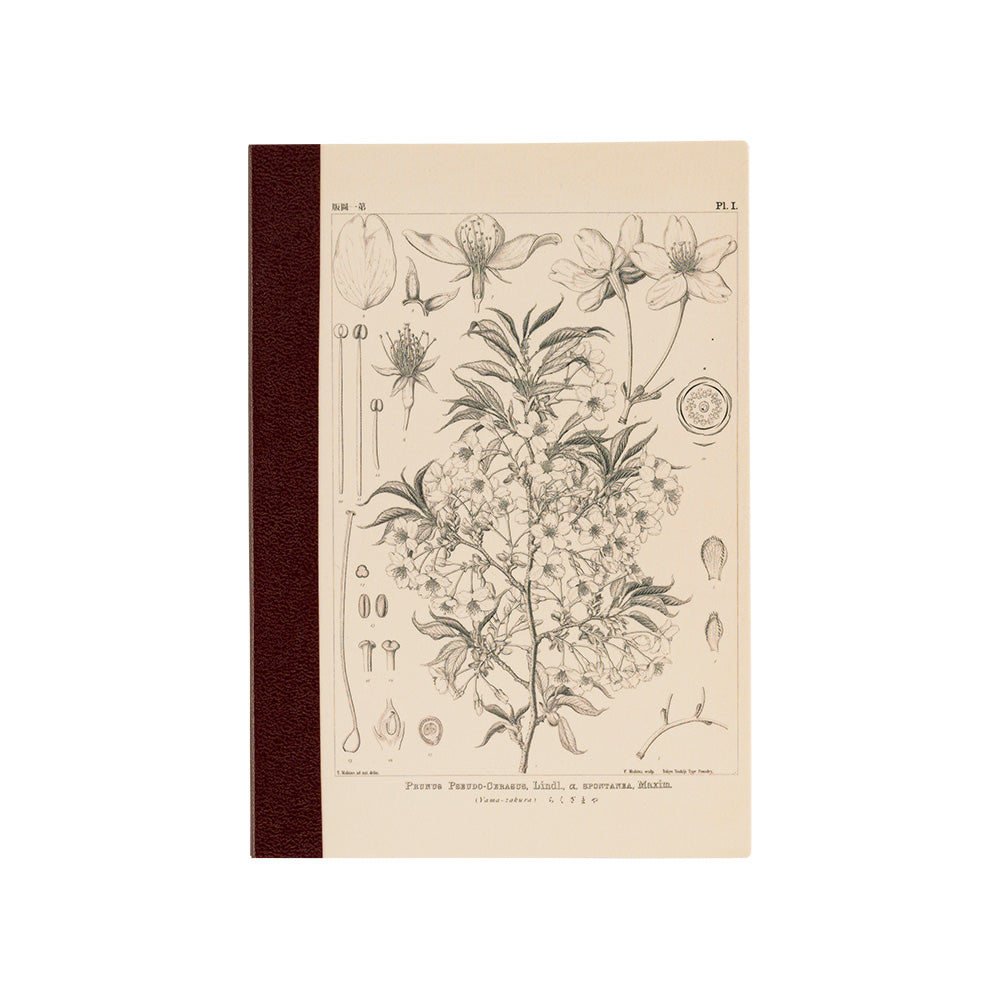 Hobonichi Yamazakura Graph Notebook