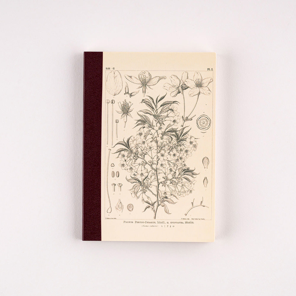 Hobonichi Yamazakura Graph Notebook