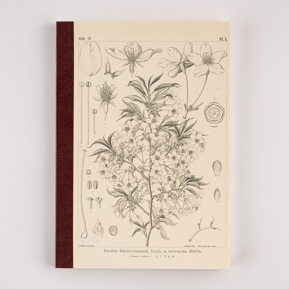 Hobonichi Yamazakura Graph Notebook