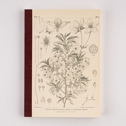 Hobonichi Yamazakura Graph Notebook