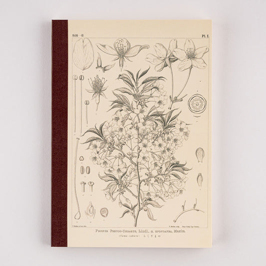 Hobonichi Yamazakura Graph Notebook